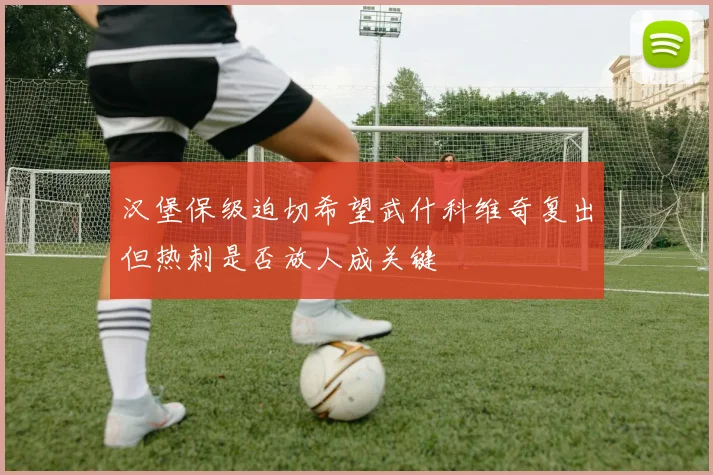 汉堡保级迫切希望武什科维奇复出但热刺是否放人成关键